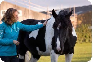 Image of a woman with a horse. Equine facilitated learning and eponaquest in Bath, Bristol and Somerset