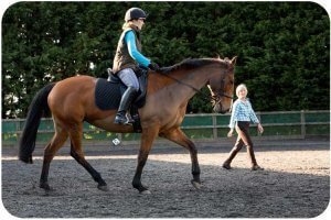Rosie withey teaches reflective riding, showjumping, flatwork, somerset, near Bristol and Bath