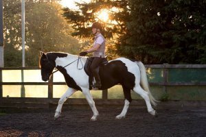 Image of Rosie Withey, Horses as teachers riding at sunset. Equine facilitated learning in somerset