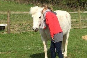 a woman buries her head into her horses main at an equine facilitated learning workshop in somerset uk