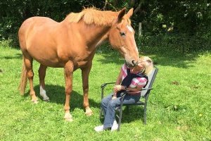 image of emotional wellbeing coach and workshop facilitator connecting with a horse. The horse is touching noses with her