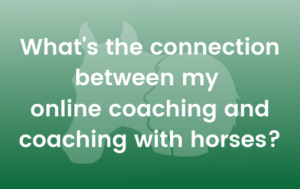 online coaching & coaching with horses