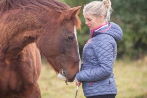 A reddish brown horse bending his head to sniff a girls hand as she looks down at him tenderly