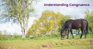 Pony grazing peacefully in the beautiful countryside. The text at the top of the image says Understanding Congruence
