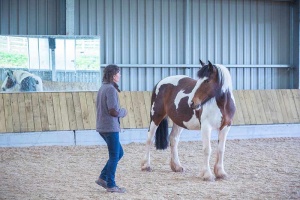 woman and horse connecting in somerset uk