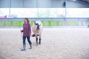 young woman being followed by a horse near bristol uk