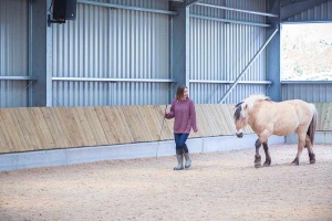 woman leading a horse in the arena at trealy farm