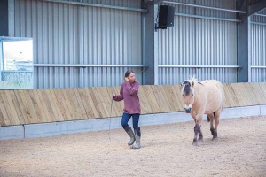 woman and horse walking at trealy farm in wales