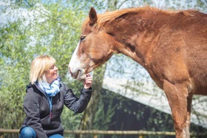 instructor and horse connecting near bristol uk