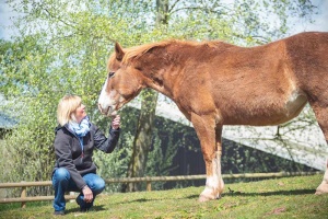 instructor and horse connection near bath uk