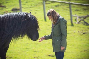woman holding out her hand to a horse near bristol uk