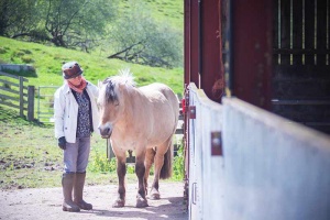 Workshop student standing beside a horse at trealy farm in wales