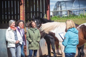 group facilitator and group with horses near bath uk