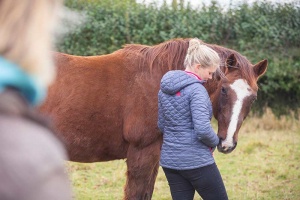 workshop student connecting with a horse