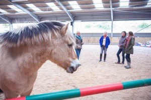 group of workshop participants with a horse