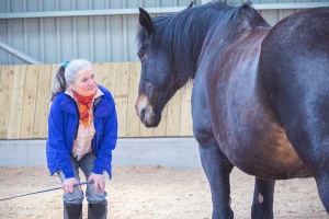 woman bending to look a horse in the eye