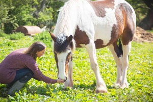 woman bending down to pet horses nose