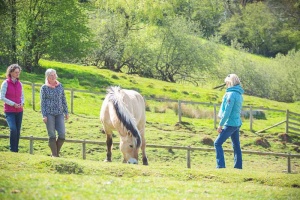 group of students witha horse near Bristol uk